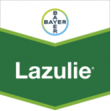 lazulie