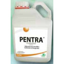 pentra