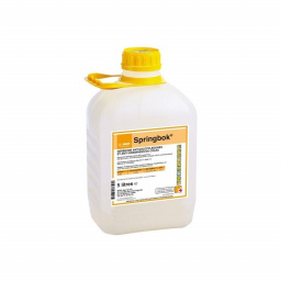 0434400-springbok 523461440