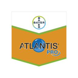 atlantis pro