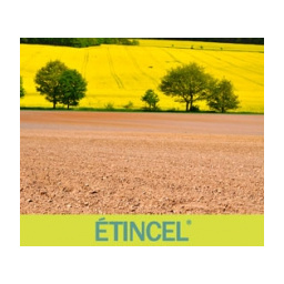 etincel
