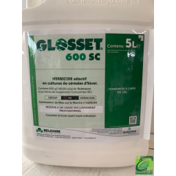 glosset_600
