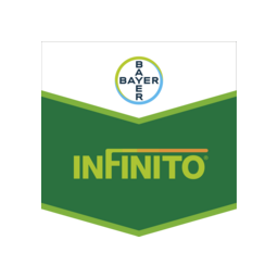 infinito