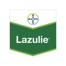 lazulie
