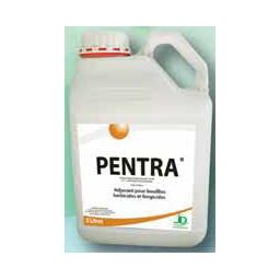 pentra