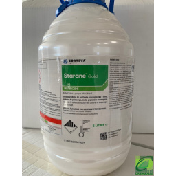 starane_gold